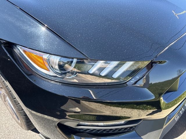 2019 Ford Mustang Shelby GT350