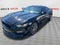 2019 Ford Mustang Shelby GT350