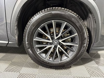 2024 Lexus NX 350 Premium