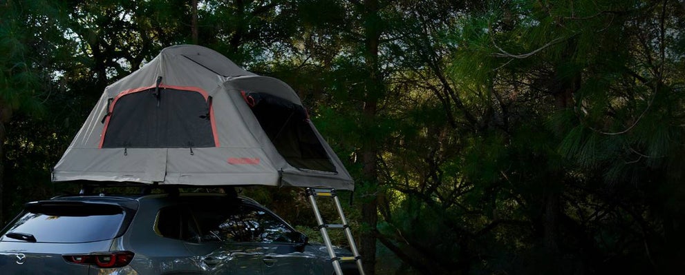 Mazda CX-50 | Koch 33 Mazda in Easton PA