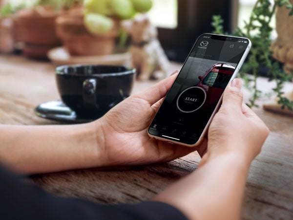 Koch 33 Mazda in Easton PA